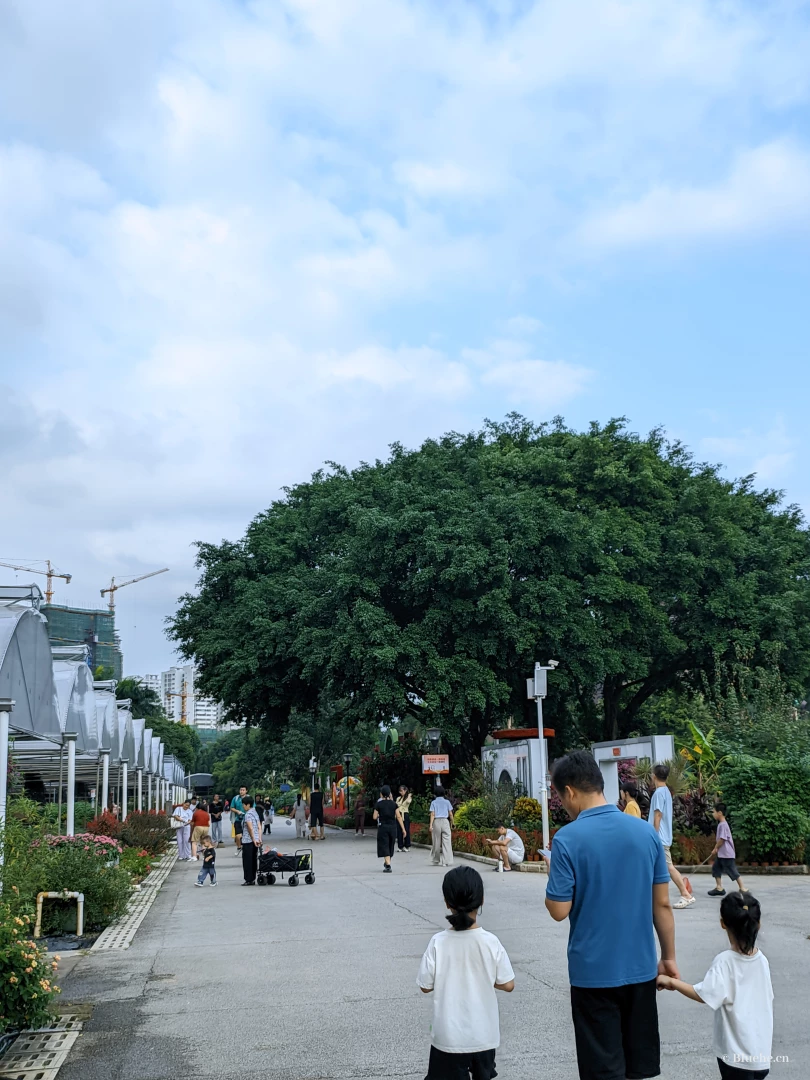img_20251019_161859312